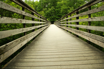 Fototapeta na wymiar Wooden bridge through the forest