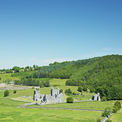 Fototapeta na wymiar Priory Fore, Hrabstwo Westmeath, Irlandia