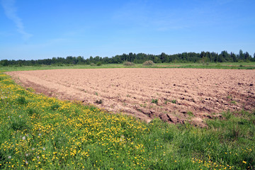 plow field