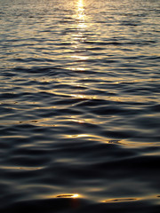 Sunny water background