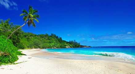 beaches of amazing Seychelles