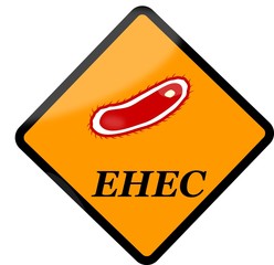Escherichia coli - EHEC - obrazy, fototapety, plakaty