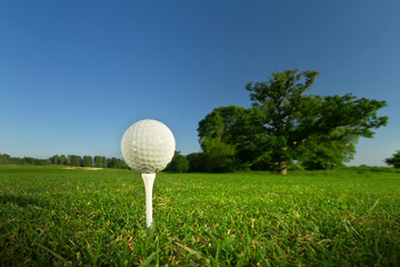 Golf ball on the tee - idyllic golf course of Adare