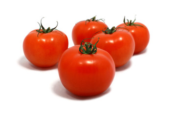 tomatoes
