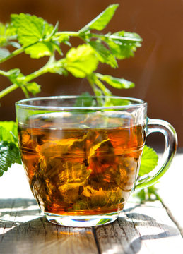 kr&auml;utertee - melisse - antistresstee