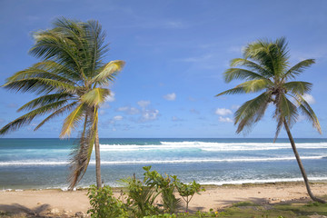 Bathsheba Beach, Barbados