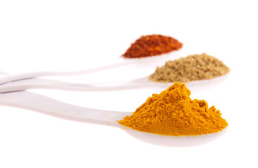 Indian spices in spoons