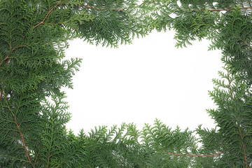 ヒノキの葉でフレーム素材