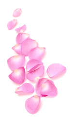 rose petals border