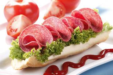 Tasty sandwich with salami