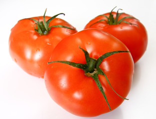 Isolated vegetables - Tomatoes