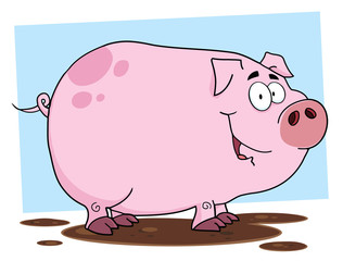 Cute Pig Cartoon Character