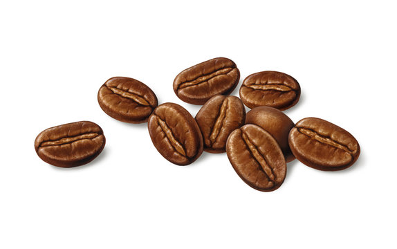 Kaffeebohnen, Illustration