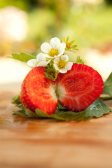 Erdbeeren