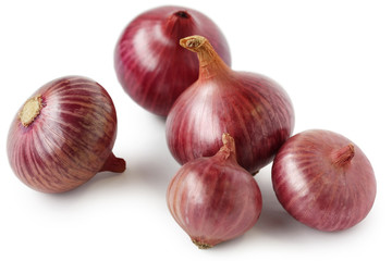 red onions on white background