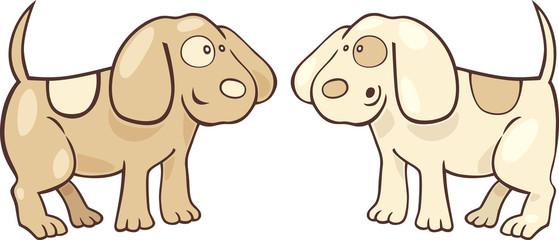 two cute puppies