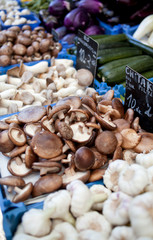 mushrooms at the farmers market