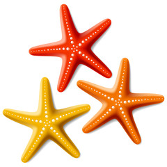 Three starfishes on white - obrazy, fototapety, plakaty
