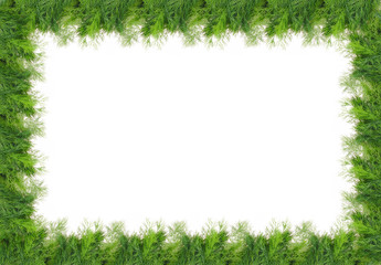 green frame made from fresh dill