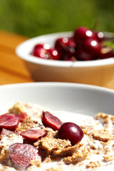 bowl of muesli with fresh fruits as diet food