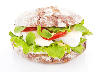 Vegetarian sandwich.