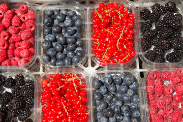 Berries for sale