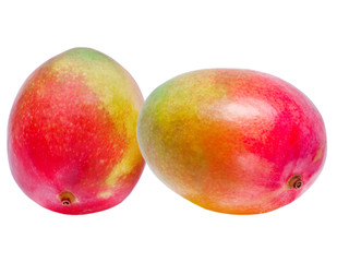 Mango isolated on white background