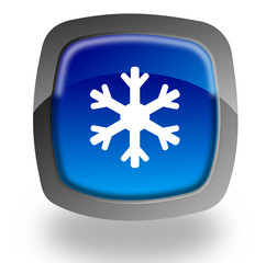 Snowflake button