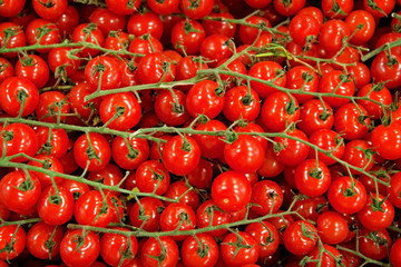 small tomatoes for sale