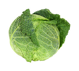 Fototapeta premium Savoy Cabbage