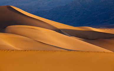 Mesquite Flat Sand Dunes at sunrise, Death Valley