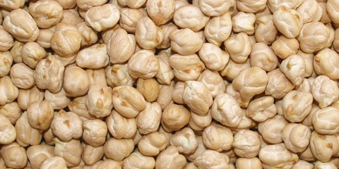 Chickbeans