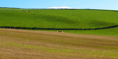 Cardross hill