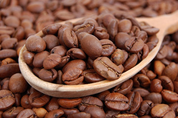 Roasted brown coffee beans in wooden spoon