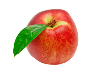 peach isolated on white background