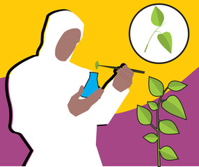 Front view of a scientist putting leaf into flask