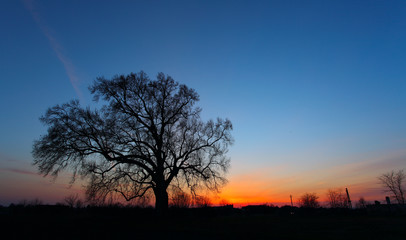 Fototapeta na wymiar Obraz piękny krajobraz z drzew sylwetka na zachodzie słońca