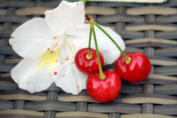 Kirschen mit Blume