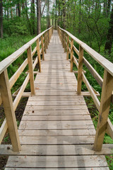 Footbridge over the swamp