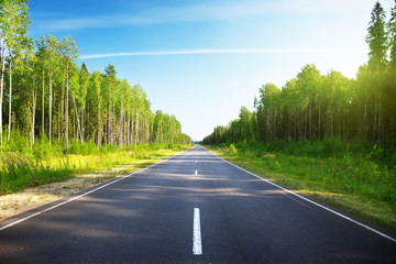 road in Russian forest