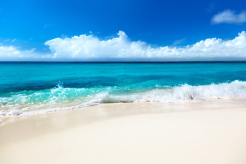 Fototapeta premium sea and sand
