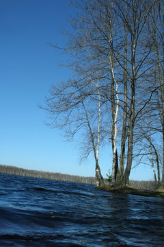 Spring lake