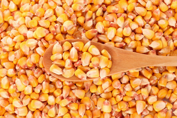 corn and wooden spoon