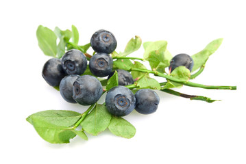 bilberries