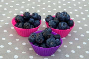 Blueberry muffins