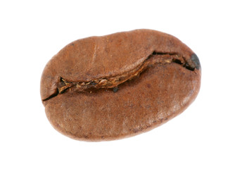 Coffee bean