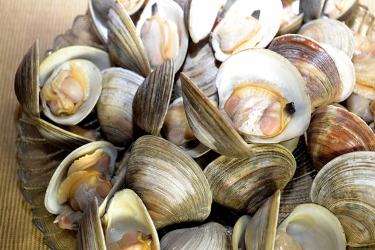 Plate of Whole Steamers Cooked