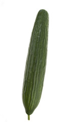 Gurke