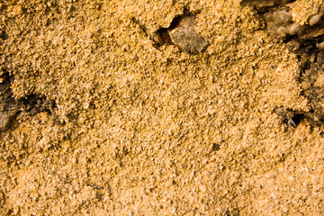 Background texture of a termite mound.