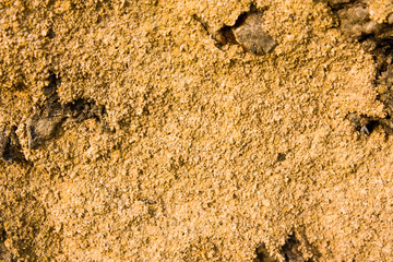 Background texture of a termite mound.